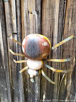 Front and side view of a large carved spider with a wooden body painted in rustic colors and metal legs mounted on wood background.