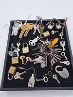 Full tray view of assorted keys and padlocks