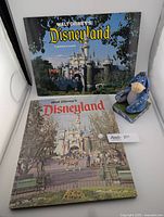 Photo showing two Disneyland souvenir books and an Eeyore figure on a white background