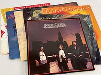 Front view of vinyl album covers featuring Bee Gees and others, showing condition and titles.