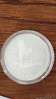 Front view of 2014 Canada $20 silver coin showing flying Canada Goose and inscriptions.