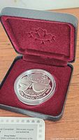 1996 Canadian Silver 925 Proof Dollar coin shown inside open black presentation box with red velvet lining and embossed maple leaf inside lid.