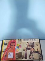 Photo showing colorful vinyl record covers including 'Oriental Polka Party' and 'Yodeling in Hi-Fi'