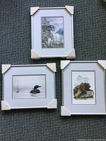 Three framed and matted Sue Coleman prints shown together on floor, each with white mats and silver-edged frames.