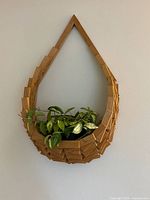 Front view of the wooden wall art with a green leafy plant placed in the wooden planter attached at the base.