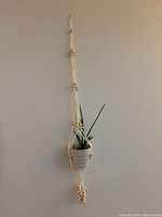 Full view of one macrame plant hanger hanging with a potted plant inside, showing the shell decorations spaced on cord length and a shell cluster tassel at bottom.