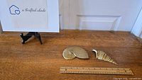 Two solid brass seashell wall hangings side by side on wooden surface with a ruler showing length of approximately 10 inches for the larger item.