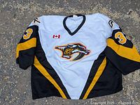 Front view of Canadian hockey jersey showing crest, number 33 on sleeve, and Canadian flag patch