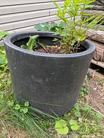Large black plastic planter pot in use outdoors, containing soil and plants, showing size and condition.