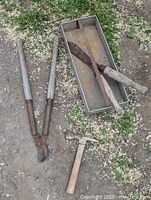 View of two pairs of pruning shears, hammer, and rusted hand tool in metal tray on ground with leaves and wood shavings.