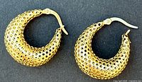 Earring pair top view showing curved hoop shape and graduated open circle pattern