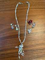 Full photo of all jewelry items on wood surface showing necklace with pendant, earrings and brooches.