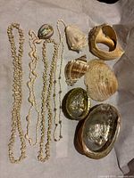 Lot overview showing four shell necklaces and six assorted loose shells