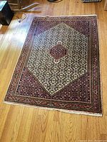 Full view of rectangular rug laid on hardwood floor