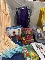 Overview photo of assorted dress up costumes including purple zebra print coat, beer bottle costume, and packaged costumes.
