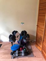 Overview of adjustable dumbbells on stand with fixed dumbbells and balls