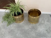 Two brass planting pots seen from a slight angle with one containing a small potted plant and some trailing greenery beside it on carpeted floor.