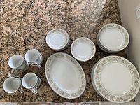 Overview of the full set laid out on countertop showing plates, cups, saucers, and serving plate.