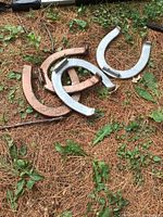 Four metal horseshoes on grass and pine needles, two silver and two rusted bronze color.