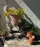Triangle-shaped black wrought iron plant stand holding five plant pots with various plants and a stack of five small terracotta pots beside it in outdoor setting, on concrete floor against wall.