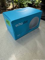 Closed blue box with Amazon Echo Dot branding showing the product name and image on the front side.