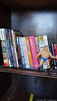 Photo showing 18 wrestling-related books lined up vertically on a shelf alongside one wrestling action figure wearing blue trunks and black boots.