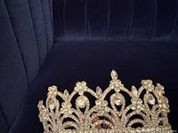 Close up of silver-toned rhinestone tiara with floral and leaf design showing detail of stones and structure.