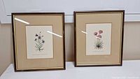 Two framed botanical prints displayed side by side, each with a beige mat and dark brown frame on a white background.
