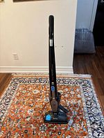 Full view of Electrolux Ergorapido cordless vacuum cleaner standing upright on a patterned carpet.