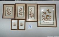 Overview of six framed pressed flower artworks displayed on a surface, showcasing various sizes and wooden frames.