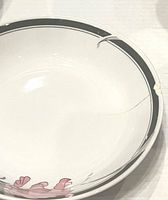 Close-up of a porcelain soup bowl showing the peach and lavender iris floral design and gray border, with a visible chip and crack