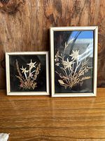 Pair of framed pressed flower pieces on wood surface showing size difference and detail