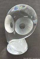 Front view of the clear glass owl with large matte frosted eyes and black pupils, showing the detailed craftsmanship.