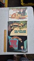 Front covers of three Calvin and Hobbes books arranged vertically on a table with a wooden ruler for scale.