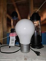 Front view of lightbulb-shaped lamp and two lamps with black bases in background