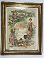 Framed lithographed certificate poster of Canadian Order of Foresters, showing overall front view with gold frame and certificate artwork.