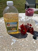 Feeder and nectar bottle on outdoor surface