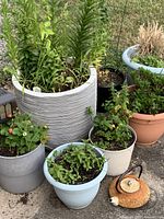 Group view of all planters and teapot on patio