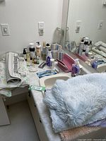 Bathroom mats, toiletries, makeup cases on countertop next to mirror