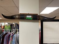 Full view of mounted bull horns on wood plaque