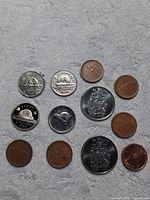 Top view of 12 assorted Canadian coins including pennies, nickels, and half dollars on a grey fabric backdrop.