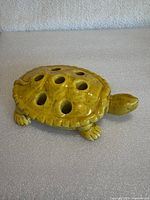 Top view showing turtle shape and seven holes