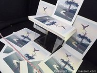 Stack of identical landscape lithograph prints arranged around central stack