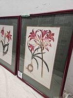 Photo of two side-by-side framed floral prints with red wooden frames showing wear, mounted on wall.