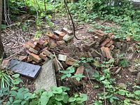 Wide view of stacked pile of older red bricks outdoors with some concrete slabs visible at edges and plant overgrowth around the pile.
