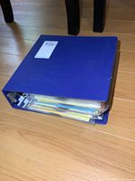 Blue binder filled with vintage kids record books and vinyl records in plastic sleeves.