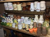 Shelf with a large variety of vintage and decorative salt and pepper shakers including mushroom-shaped, carrot-shaped, and floral motif pieces, arranged closely together.