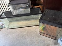 Photo showing three glass reptile terrariums of different sizes placed on concrete floor: one large long rectangular, one medium rectangular, and one small vertical terrarium with substrate and plant.