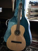 Full view of guitar standing in open hard-shell case