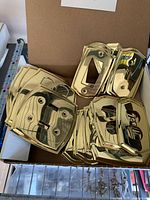 Box containing multiple brass face plates for light switches and outlets with mounting screws in small plastic bags.